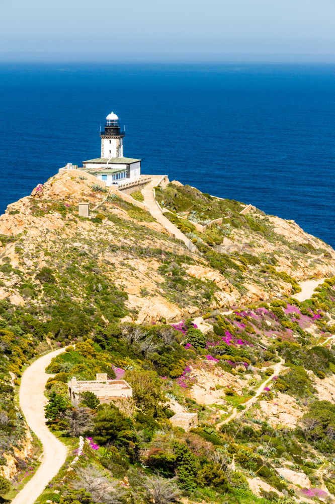 Similar – Image, Stock Photo Mallorca from its beautiful side 45