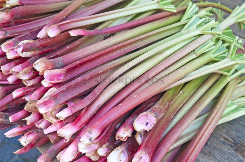 Image, Stock Photo rhubarb Rhubarb Red