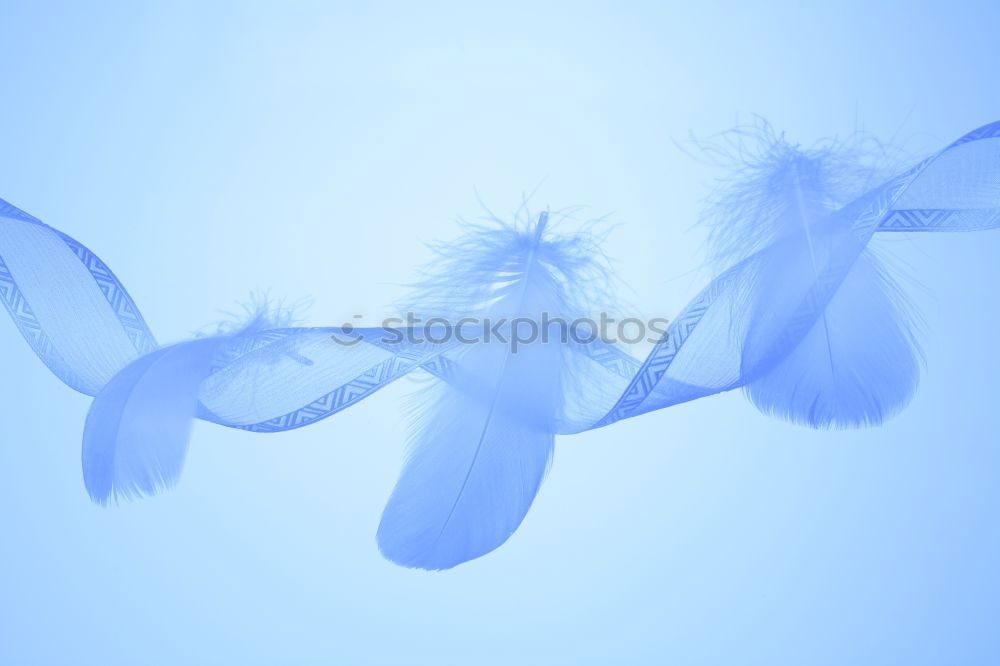 Similar – Image, Stock Photo Complications III Plant