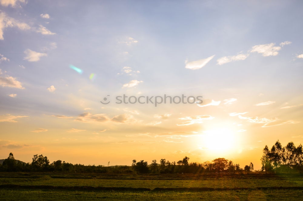 Similar – Foto Bild Die Sonne scheint pink.