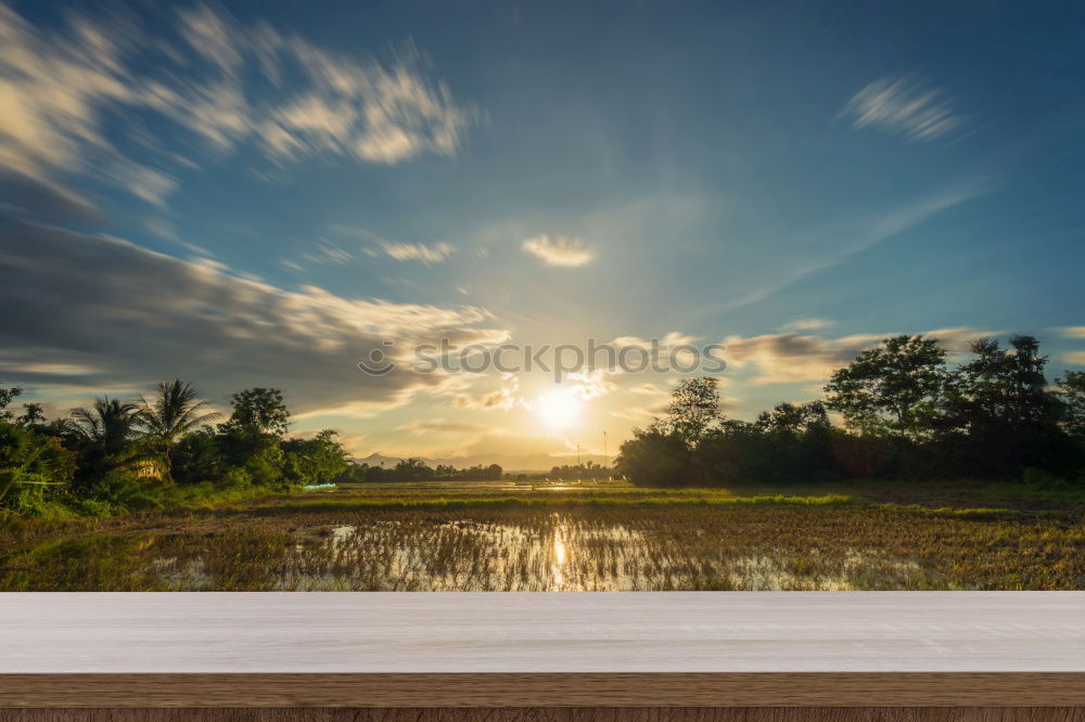 Similar – Image, Stock Photo By the carp pond, my heart is filled with emptiness, not mind