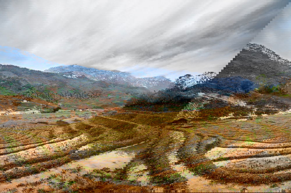Similar – Image, Stock Photo Long path ahead. Landscape