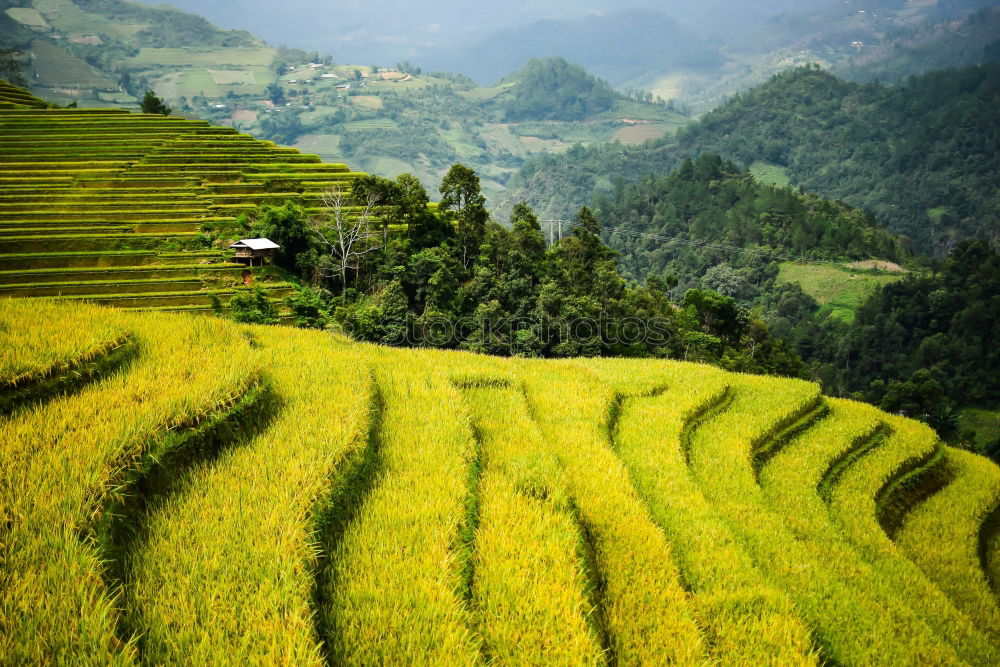 Similar – Top view of the rice paddy fields in northern Thailand