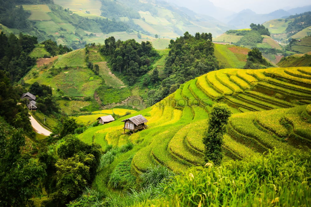 Similar – Top view of the rice paddy fields in northern Thailand