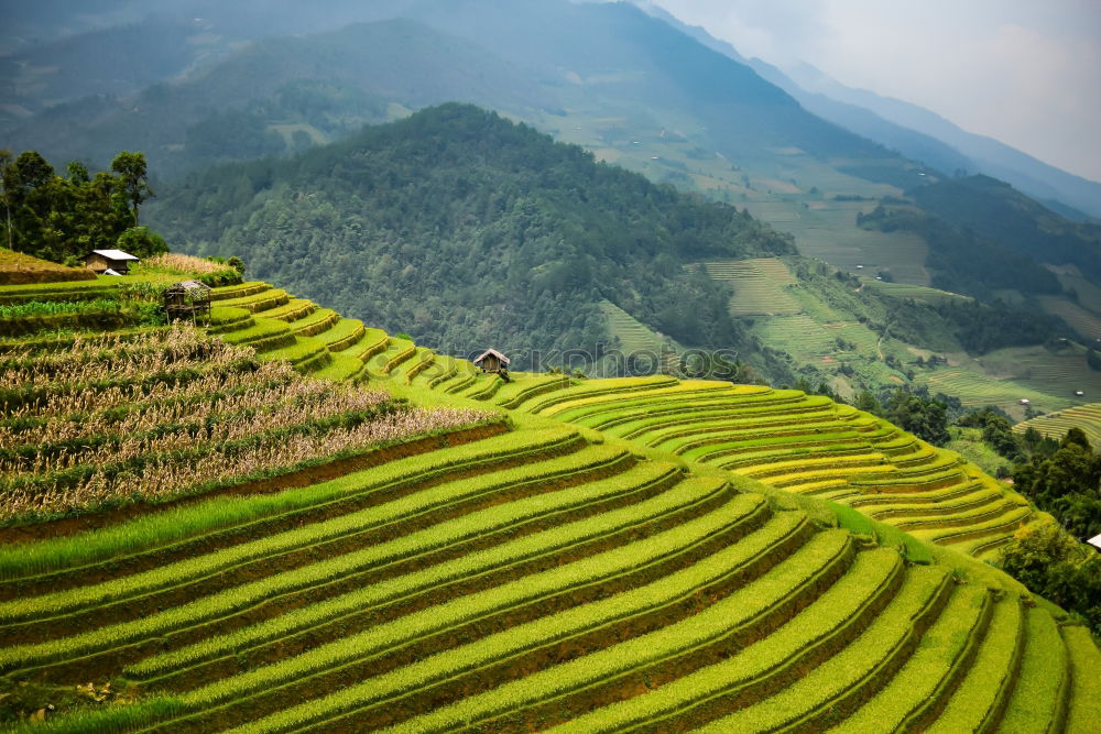 Similar – Top view of the rice paddy fields in northern Thailand