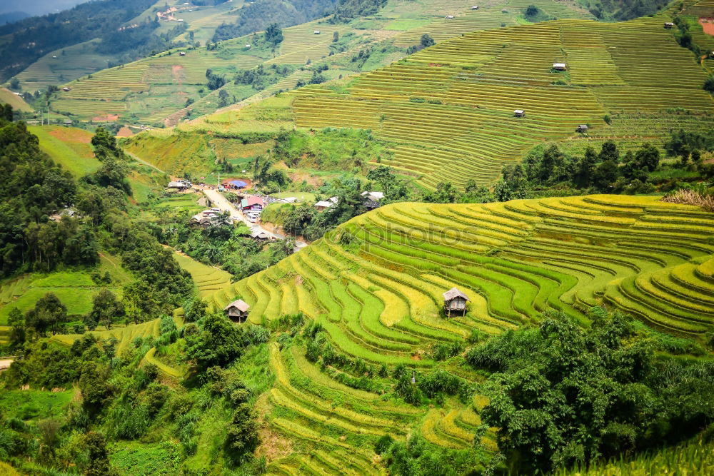 Similar – Top view of the rice paddy fields in northern Thailand