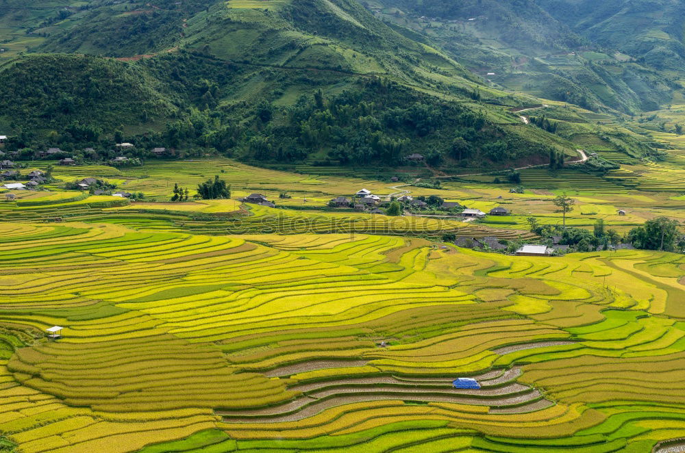Similar – Foto Bild Landschaft der Rapsfelder und Berge im Frühjahr