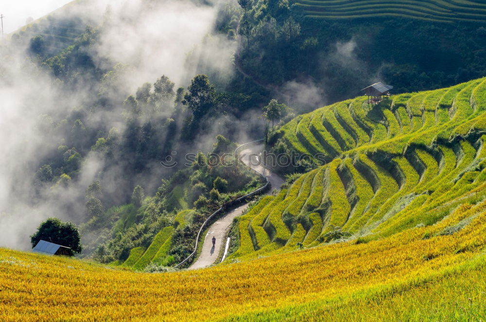 Similar – Top view of the rice paddy fields in northern Thailand