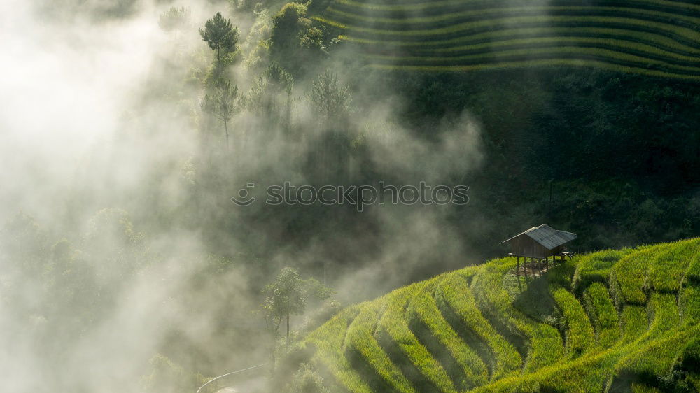 Similar – Top view of the rice paddy fields in northern Thailand