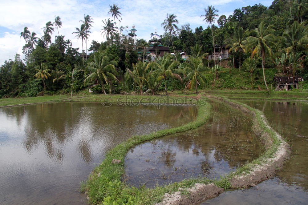 Similar – Bali Island Indonesia Asia