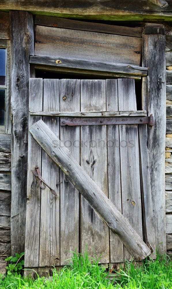 Similar – Image, Stock Photo Homemade birdhouse for the winter made of old grey wood at the edge of the forest on a farm in Rudersau near Rottenbuch in the district of Weilheim-Schongau in Upper Bavaria