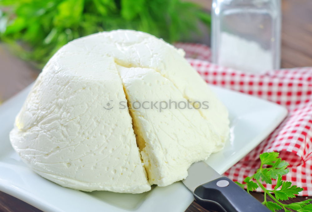 Similar – Italian cheese burrata with bread