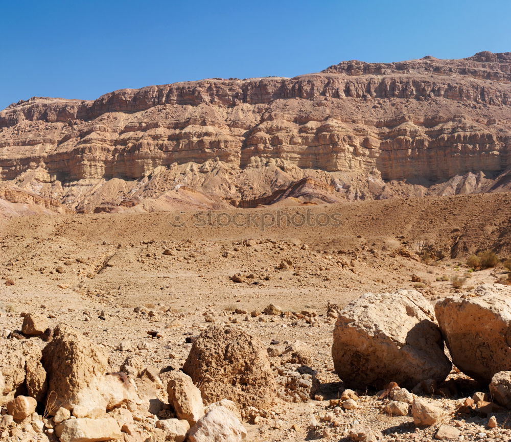 Similar – Image, Stock Photo Oasis Nature Landscape