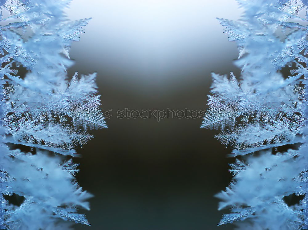 Similar – Image, Stock Photo snow Nature Plant Winter