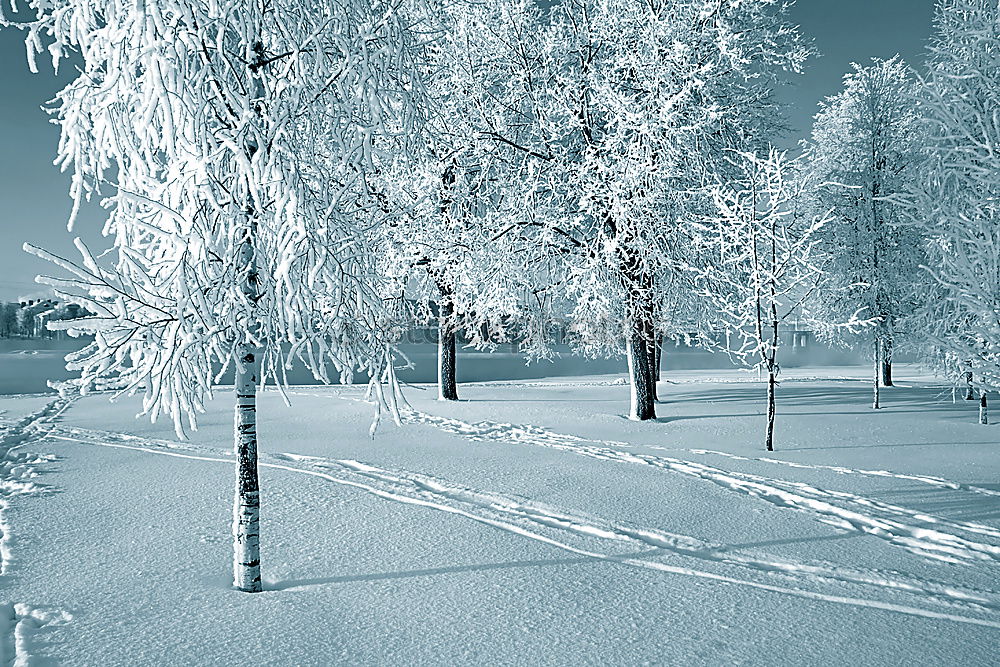 Similar – Foto Bild „Kaltestelle“ Winter kalt