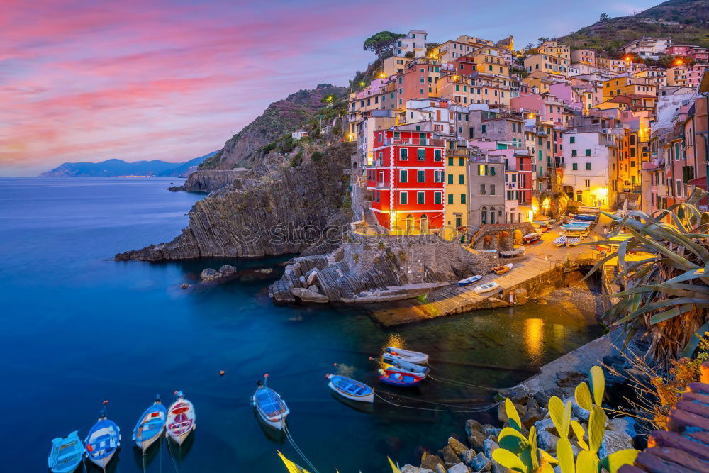 Similar – Image, Stock Photo Classic Manarola Nature