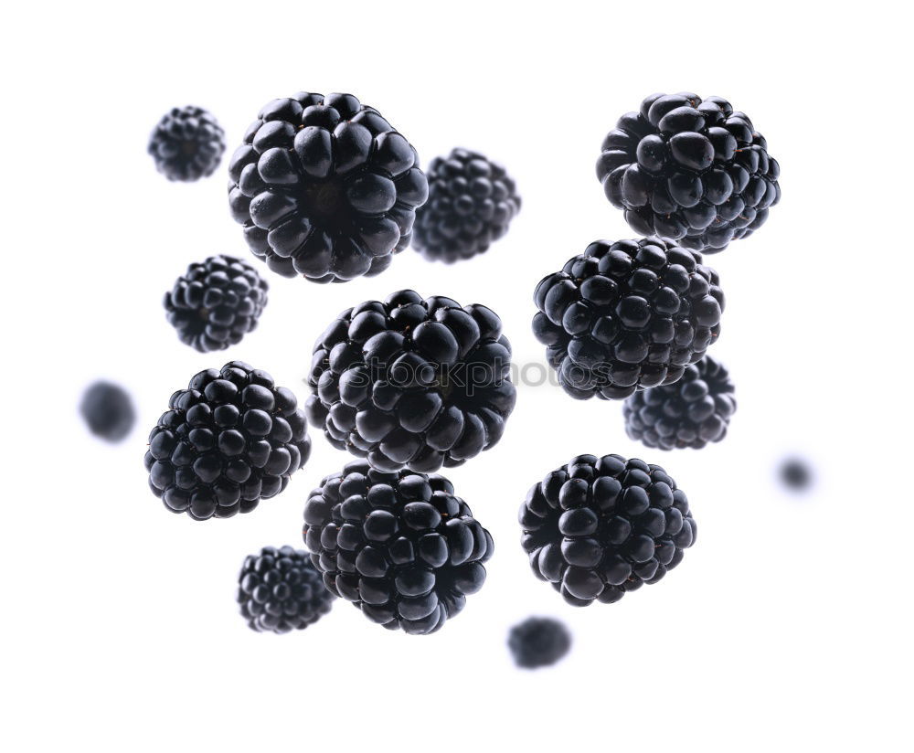 Similar – Image, Stock Photo frozen blackberries Fruit