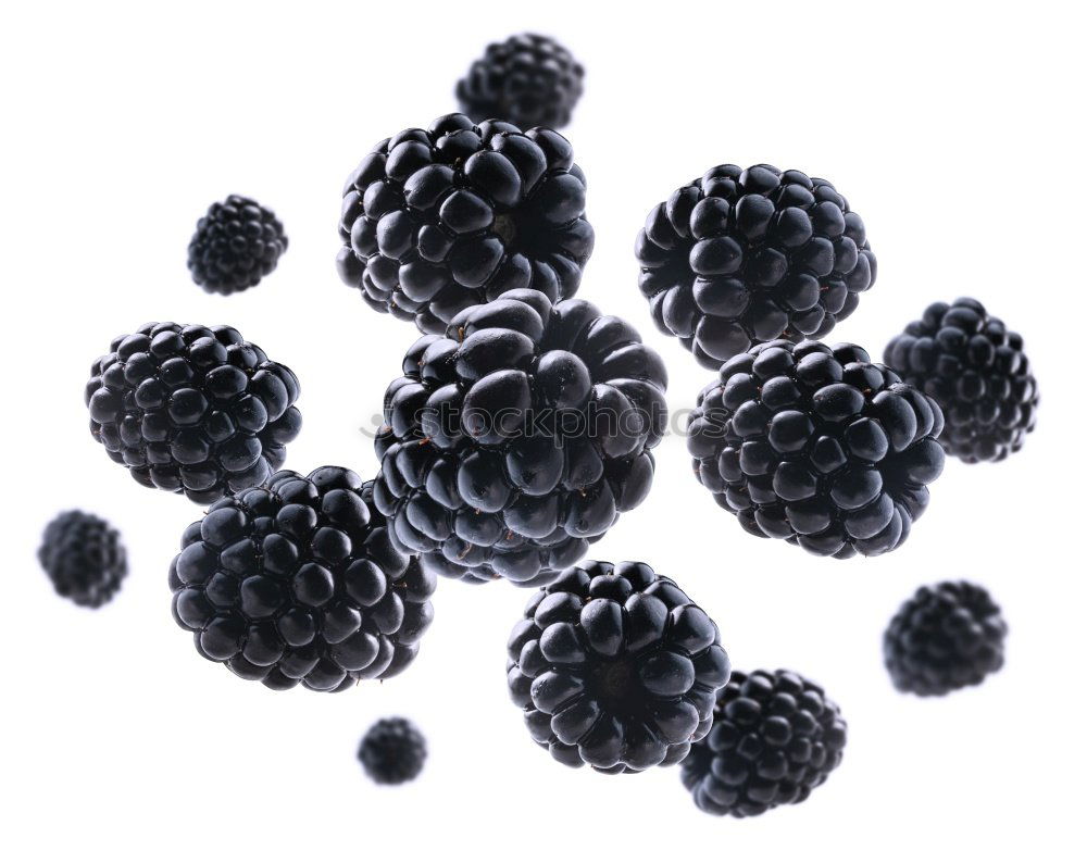 Similar – Image, Stock Photo frozen blackberries Fruit