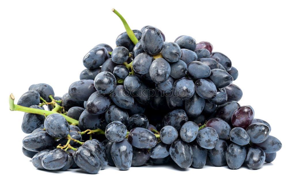 Similar – Foto Bild Weinlese. Lebensmittel