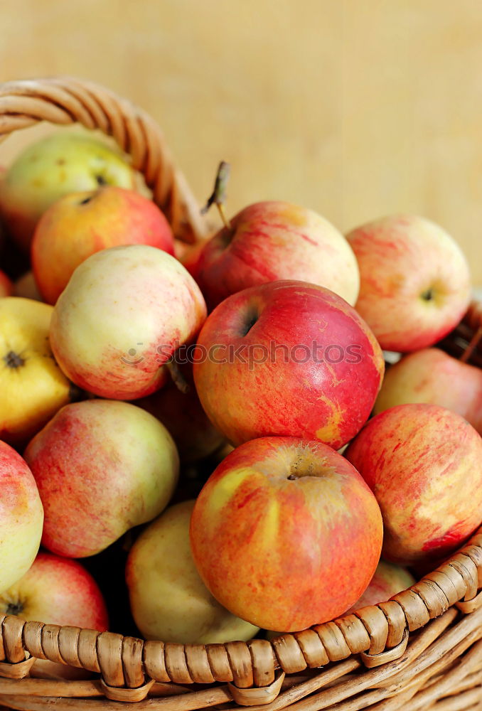 Red ripe apples