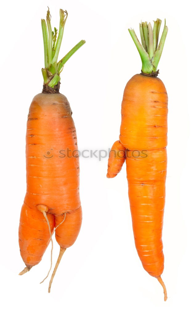 Similar – love of carrots Carrot 2