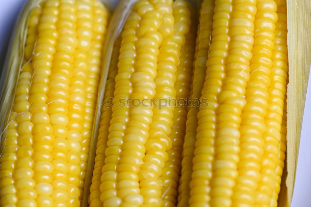 Similar – Image, Stock Photo I’m corny Yellow Popcorn