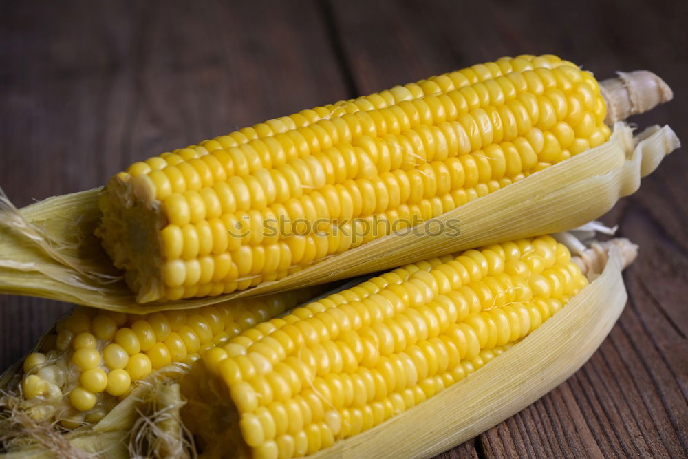 Similar – Roasted corn salted.