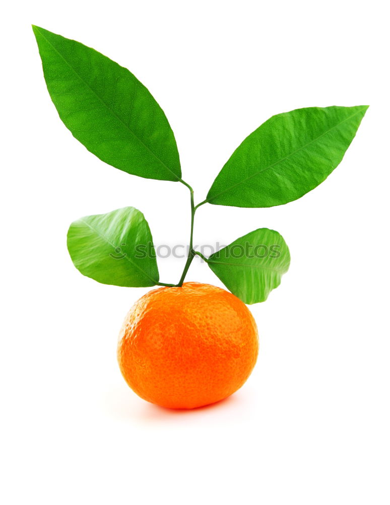 Similar – Orange fruit with green leaves on white wood