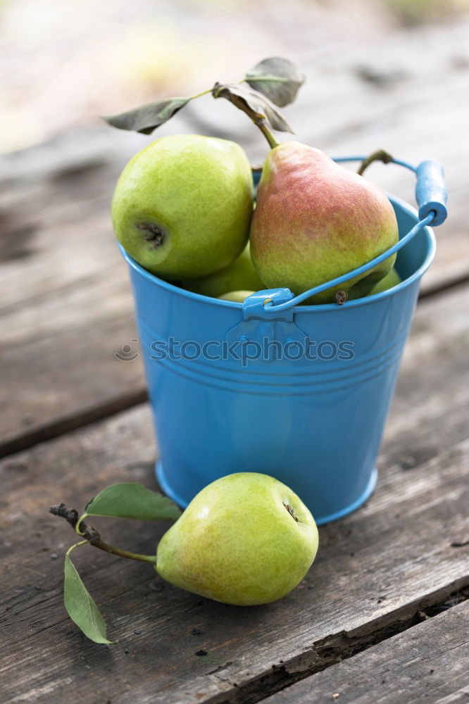 Similar – Image, Stock Photo Break in the garden with books and apples