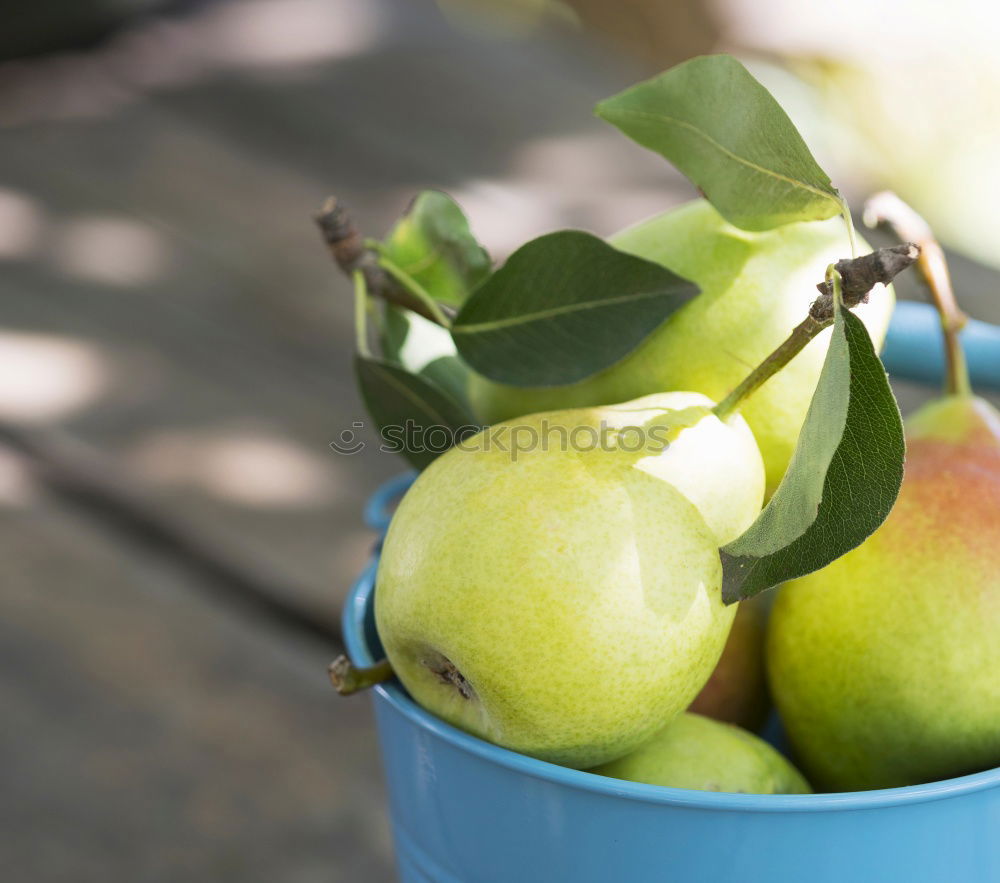 Image, Stock Photo Break in the garden with books and apples