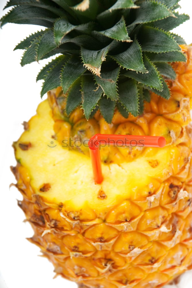 Similar – Pineapple in an armchair