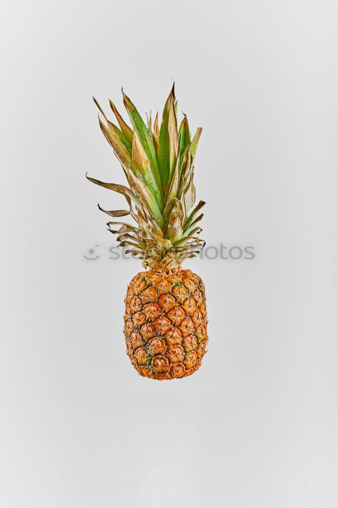 Similar – Pineapple in an armchair