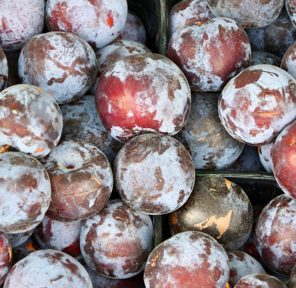 Similar – Image, Stock Photo plum harvest Sink Plum