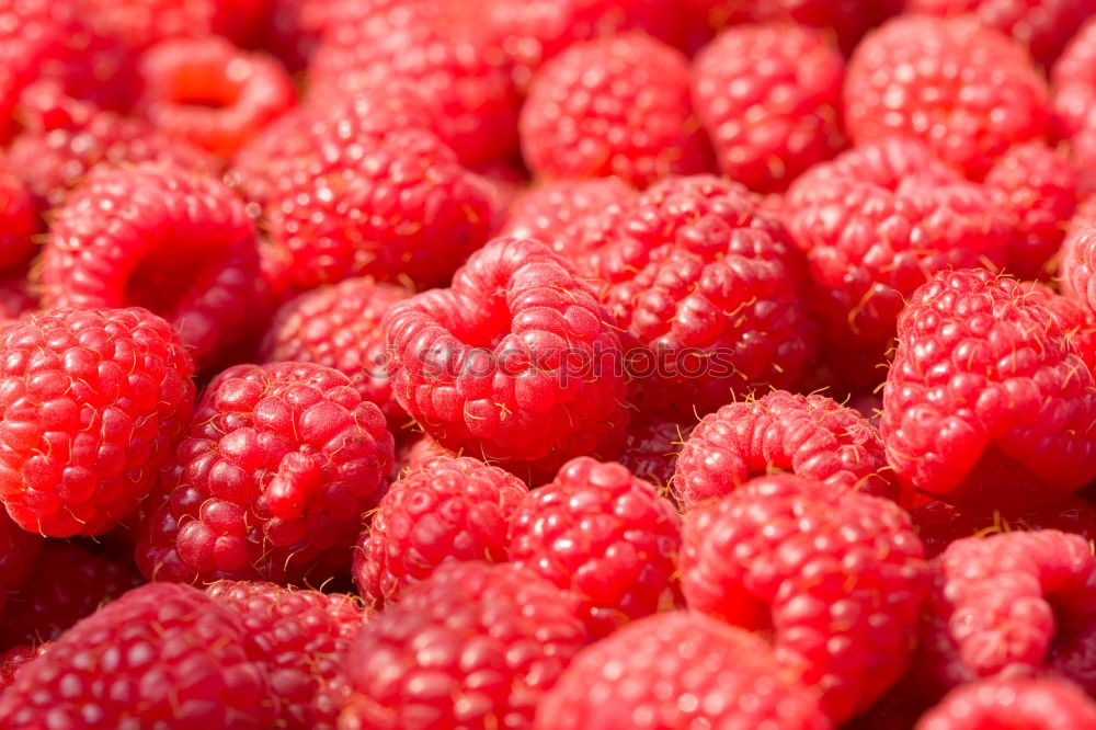 Similar – Image, Stock Photo Red Raspberry Fruits Food