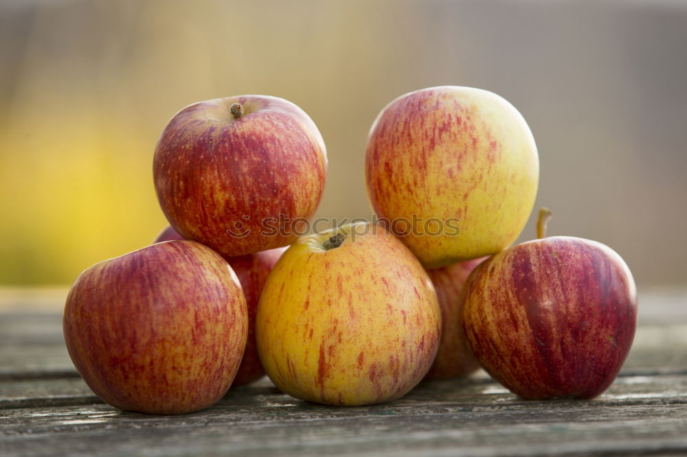 Similar – Image, Stock Photo apple harvest Fruit Apple