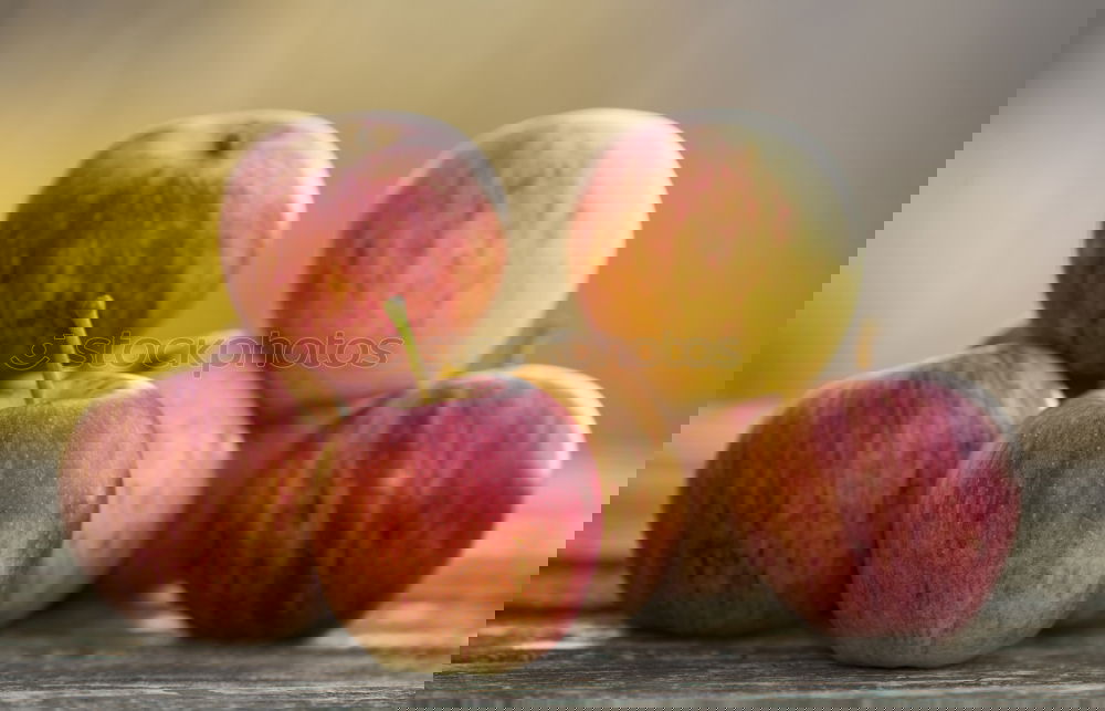 Image, Stock Photo Apple harvest in autumn garden