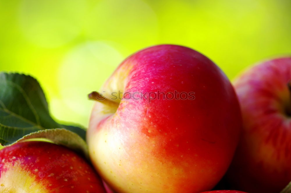 Similar – apple harvest Fruit Apple