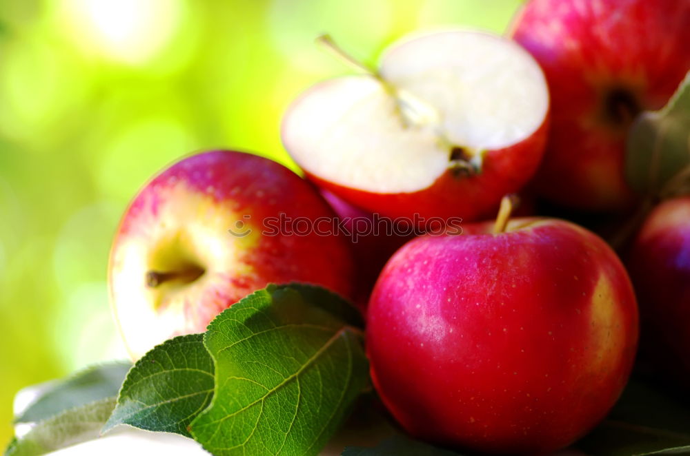 Similar – apple harvest Fruit Apple