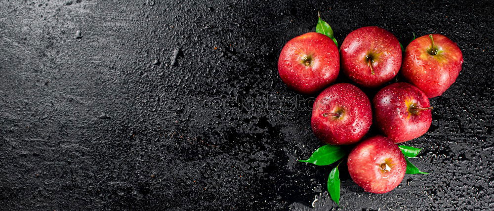 Similar – Image, Stock Photo unsprayed organic apple harvest