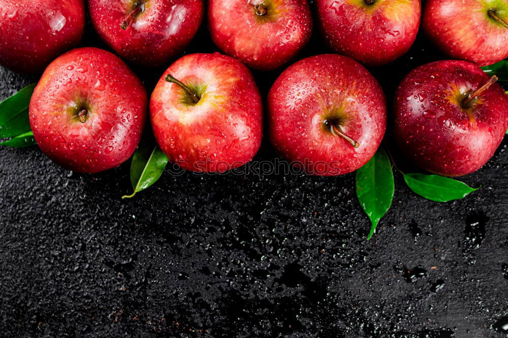 Similar – Image, Stock Photo plums Red Violet Picked