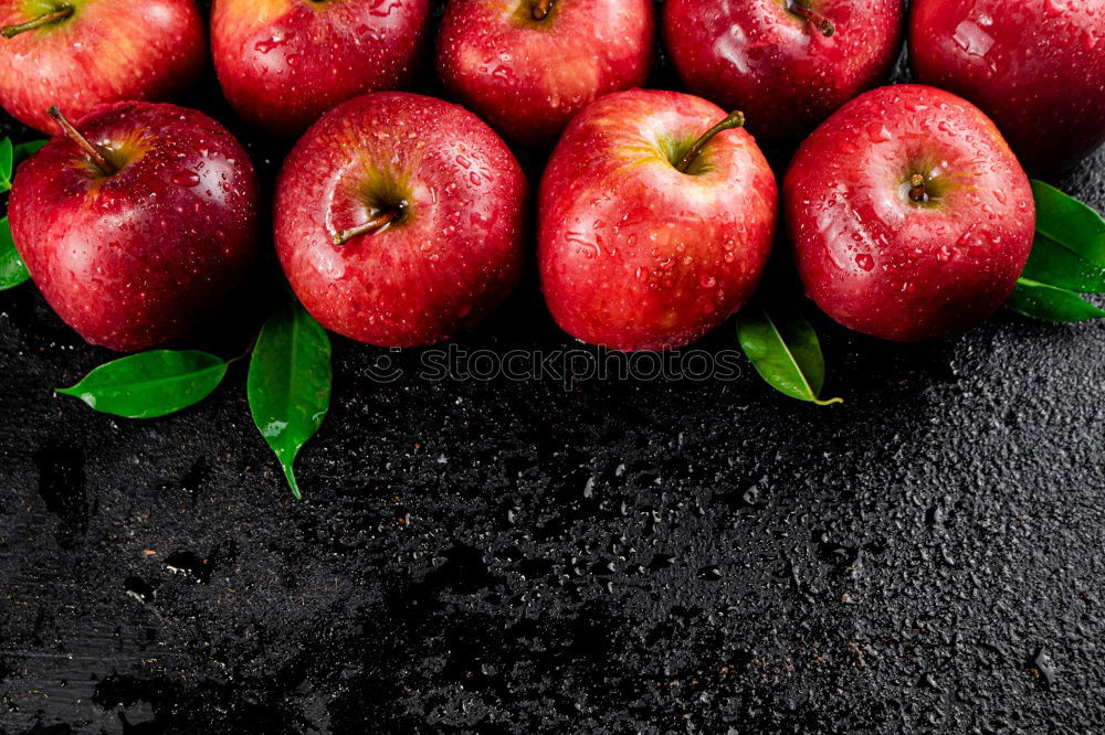 Similar – Image, Stock Photo plums Red Violet Picked