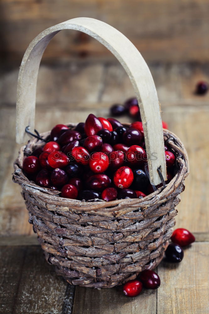 Similar – Image, Stock Photo anticipation Fruit Cherry