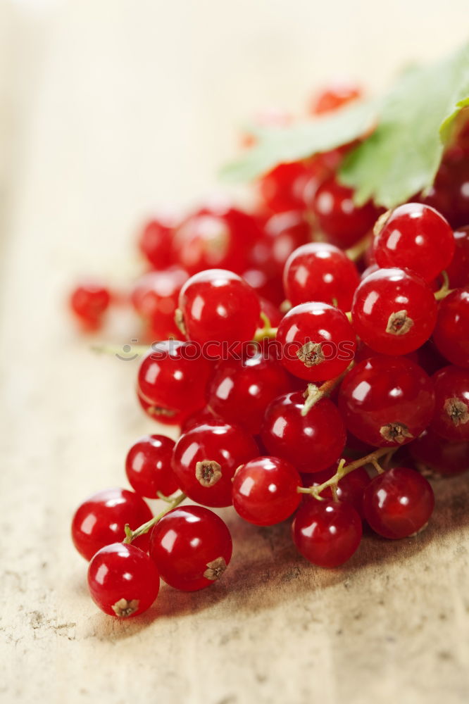 Similar – Image, Stock Photo currants Food Fruit Jam