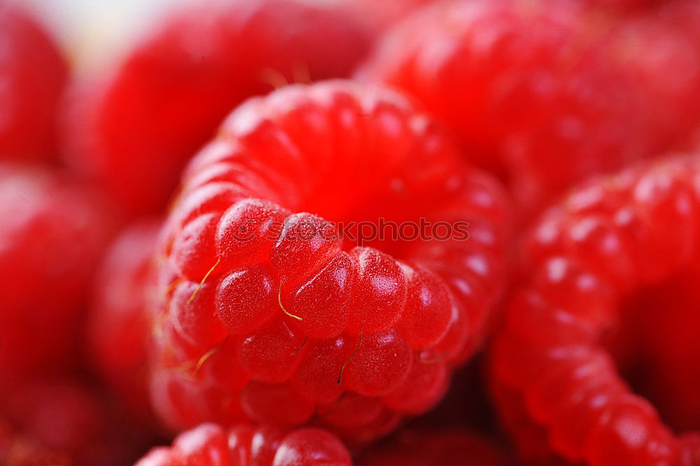 Similar – Strawberry IV Food Fruit