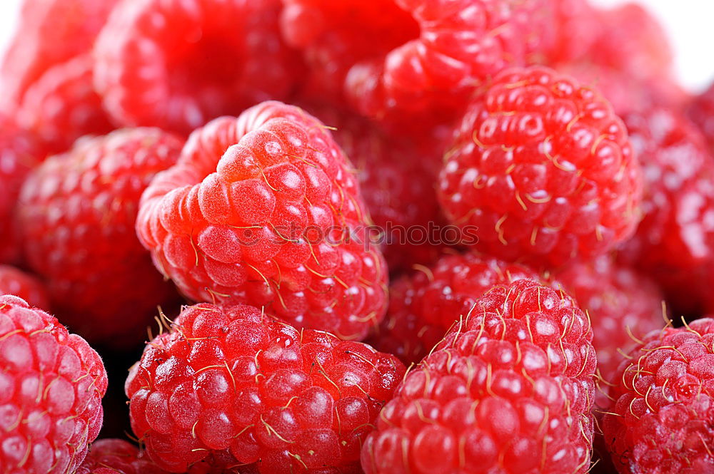 Image, Stock Photo Red Raspberry Fruits Food