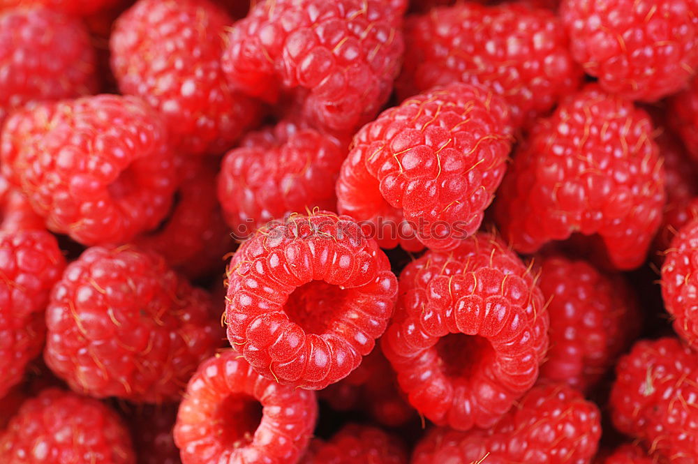 Similar – Image, Stock Photo Red Raspberry Fruits Food