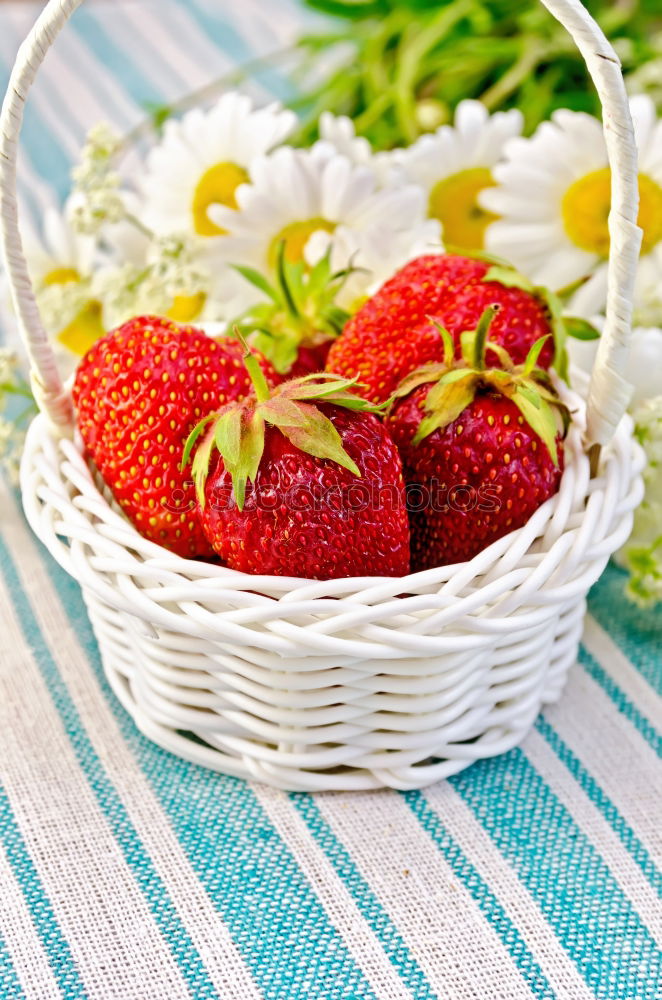 Similar – Image, Stock Photo Freshly harvested III Food