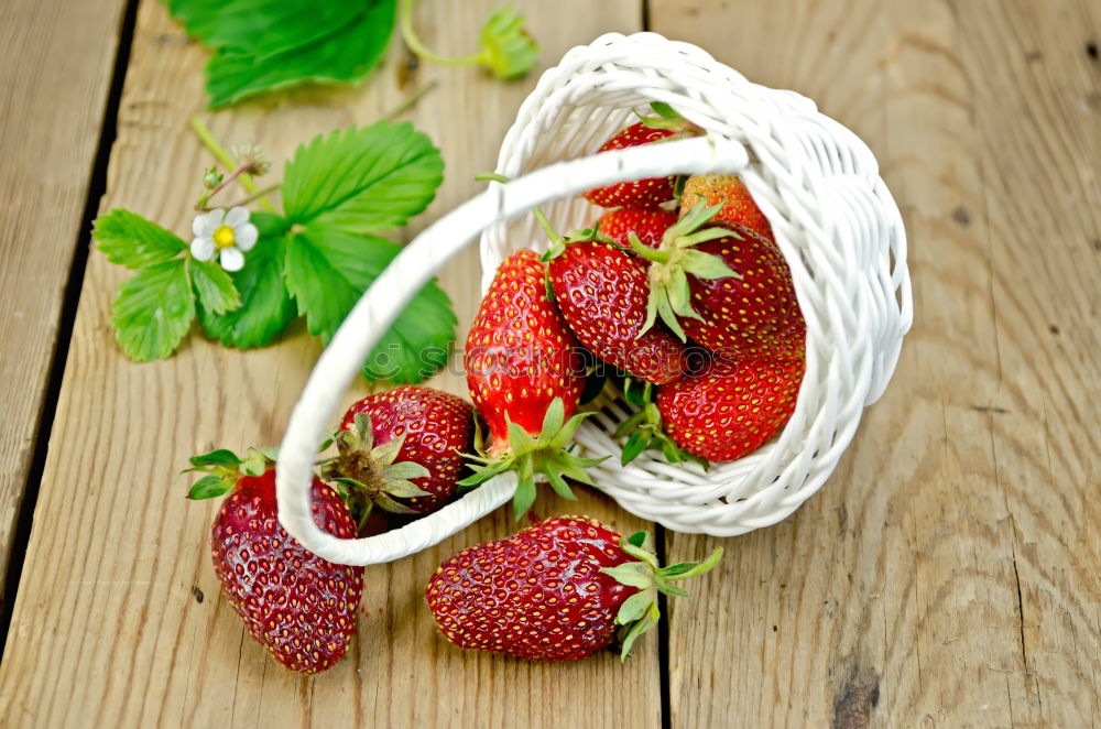 Similar – Image, Stock Photo Freshly harvested III Food