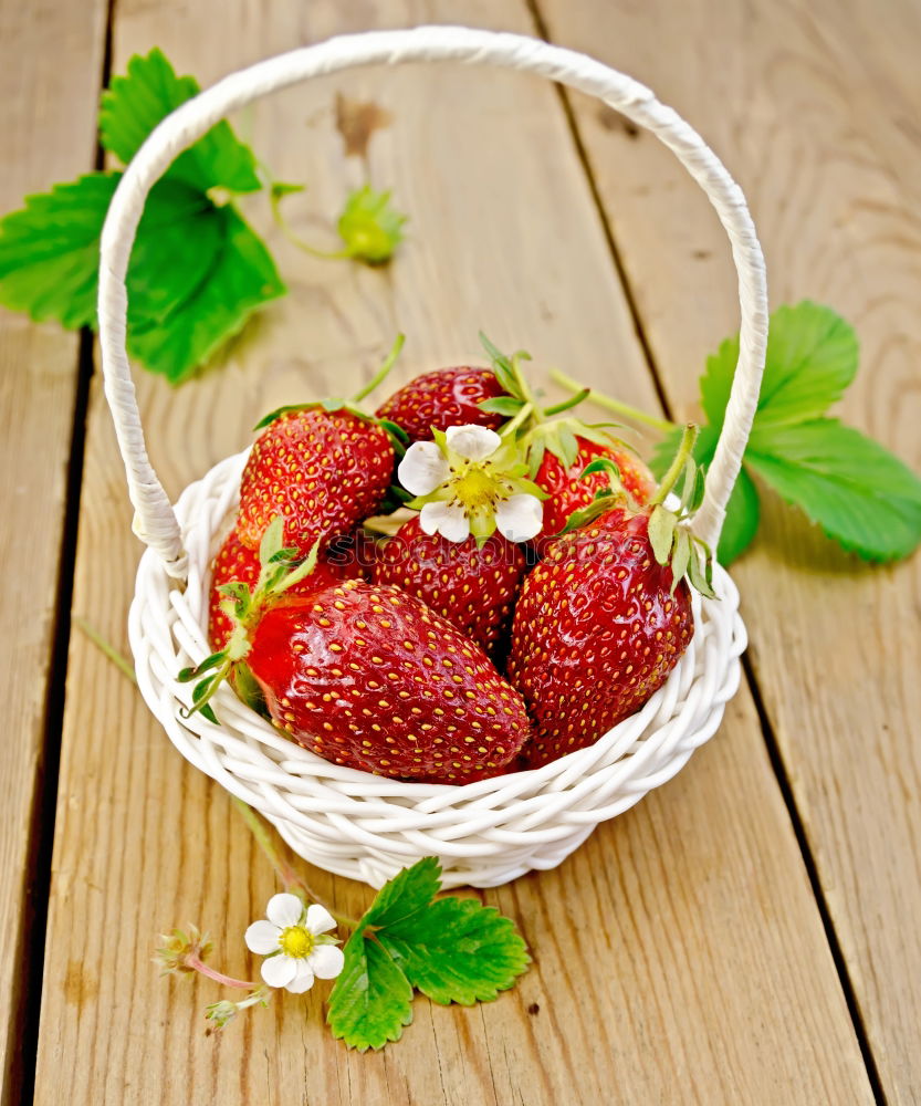 Similar – Image, Stock Photo Freshly harvested III Food