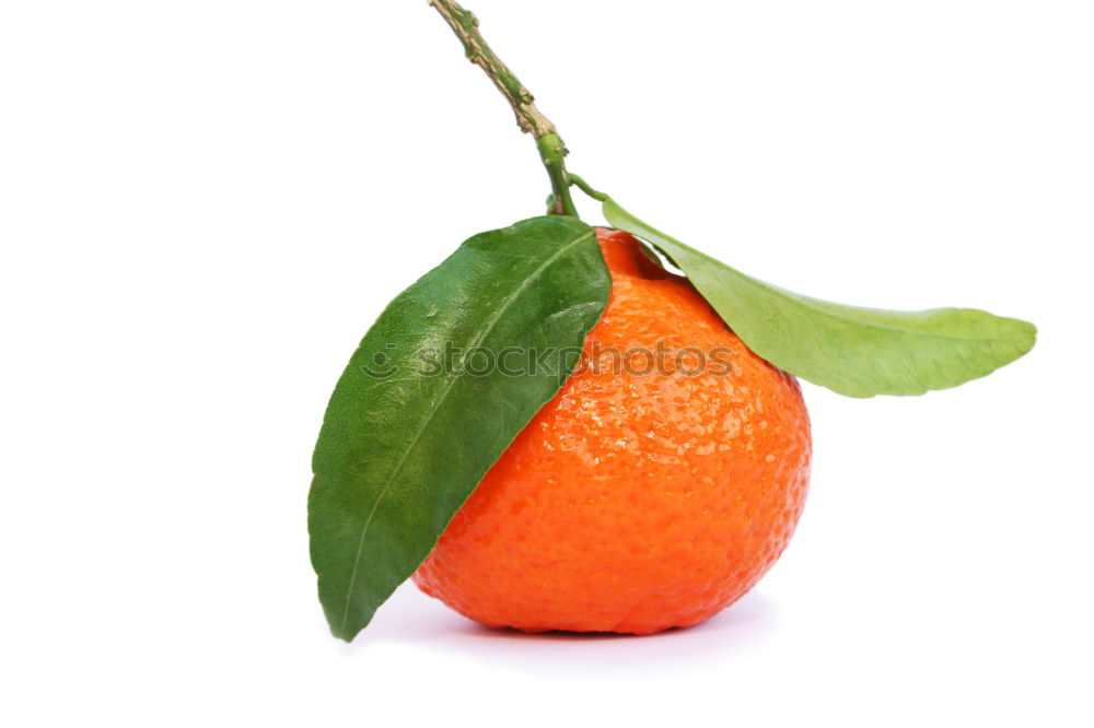 Similar – Orange fruit with green leaves on white wood